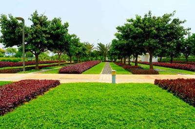 綠滿邕城 南寧園林綠化、庭院美化與專業工程服務的全方位解析