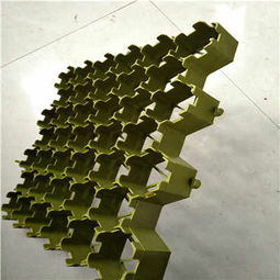 清遠塑料植草格廠家 以專業品質，助力綠色生態建設